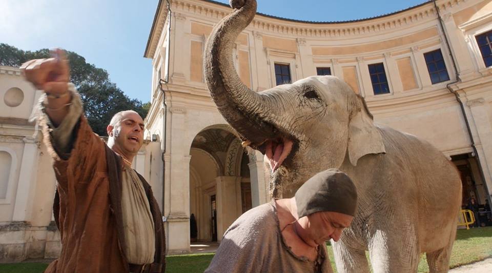 Animali per il Cinema e la tv