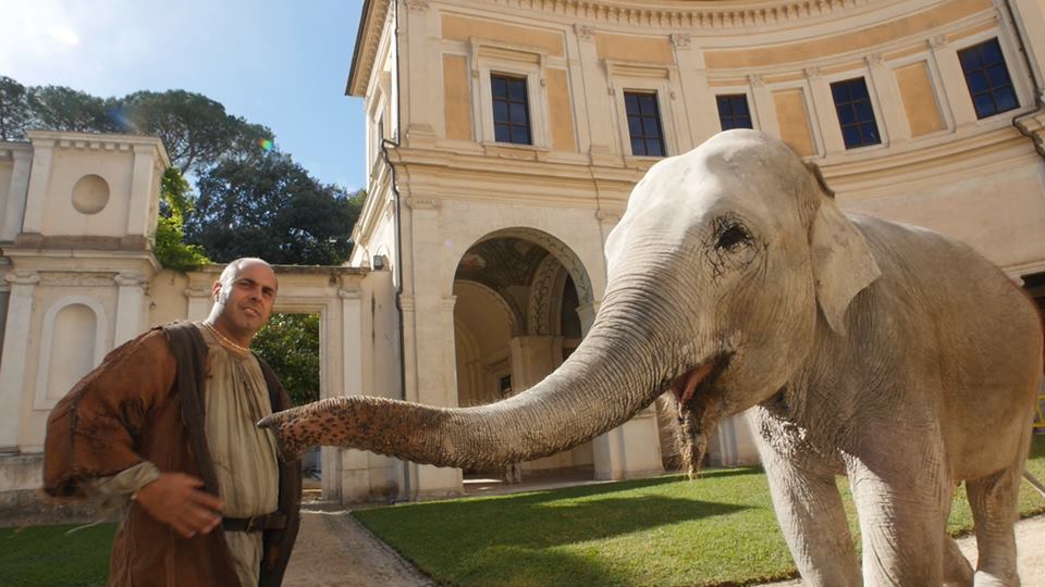 Animali per il Cinema e la Televisione