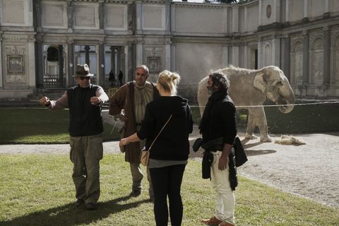 Animali per il Cinema e la TV