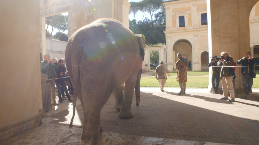 Animali per il Cinema e la Televisione